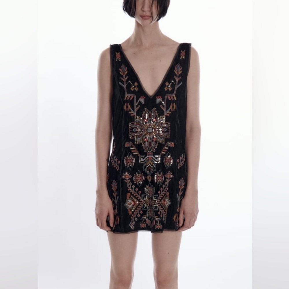 Zara velvet embroidered dress